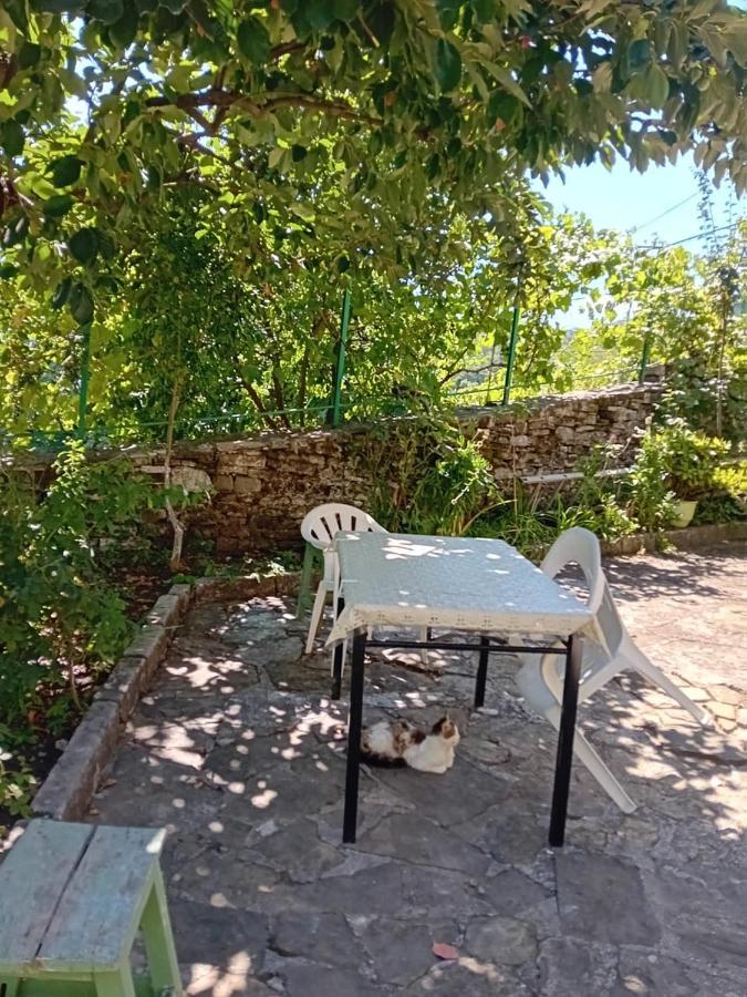 Stone Pazar Guest House Gjirokastër Dış mekan fotoğraf