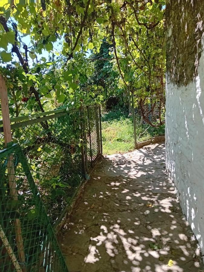 Stone Pazar Guest House Gjirokastër Dış mekan fotoğraf